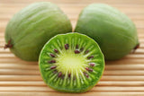 Actinidia arguta | Tara Vine | Hardy Kiwi | 50_Seeds