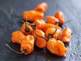 Bhut Jolokia Naga Orange | Ghost Chili Pepper | 20_Seeds