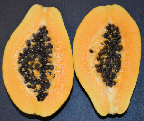 Carica papaya Kamiya | Laie Gold | Golden Hawaiian Papaya | 100_Seeds