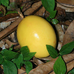 Passiflora edulis Flavicarpa | Yellow Passionfruit | 20_Seeds