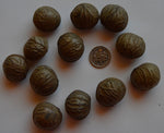 Plukenetia huayllabambana | Inca Peanut | sacha inchi  | 10_Seeds
