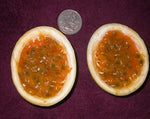 Passiflora edulis hybrid Mikes Choice | Passion Flower Vine | 20_Seeds