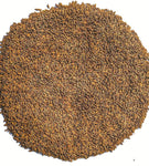 Oryza sativa Black Madras | Asian & Common Rice | 10_Seeds