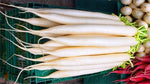 Raphanus sativus longipinnatus | Daikon | Oriental radish | Minowase | 10_Seeds